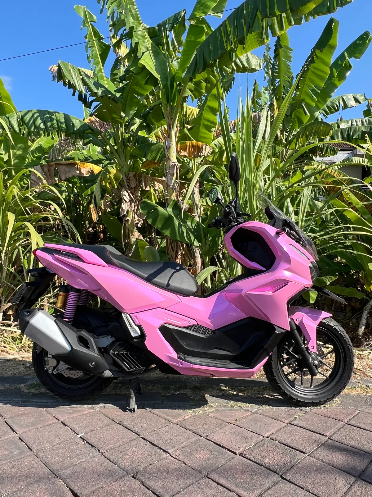 Honda ADV وردي-بنفسجي (ABS)