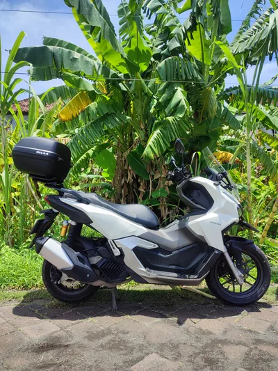 Honda ADV White (CBS) + Box
