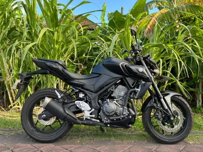 Yamaha MT-25 Black (ABS)