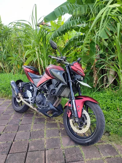 Yamaha MT-25 أسود-أحمر