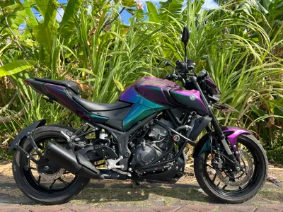 Yamaha MT-25 Chameleon (ABS)