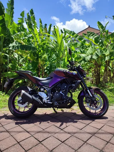 Yamaha MT-25 Chameleon V1