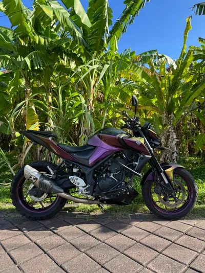 Yamaha MT-25 حرباء