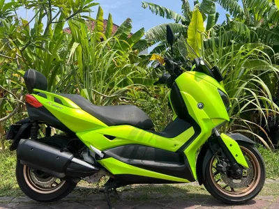 Yamaha Xmax Cartoon