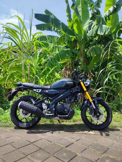 Yamaha XSR Black