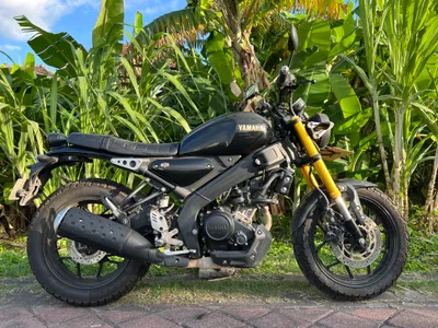 Yamaha XSR أسود