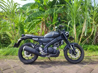 Yamaha XSR أسود كامل